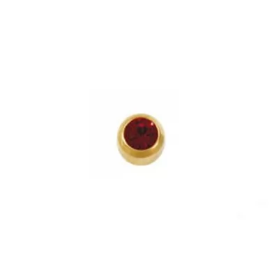 Фотографії Пусети STUDEX Ear Piercing Лютий Аметист Gold Bezel R 3 мм