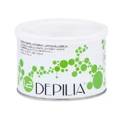 Фото Воск для депиляции DEPILIA Depilatory Wax #1.2 хлорофилл 400 мл - 1