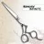 Ножиці для стрижки прямі SWAY INFINITE Crane Design 6.0 дюймів
