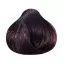 Крем-фарба для волосся FARMAGAN Hair Color 4\2 Каштановий Ірис Безаміачна 100 мл на www.solingercity.com - 2