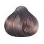 Крем-краска для волос FARMAGAN Hair Color 8\1 Светлый Блонд Пепельный Безаммиачная 100 мл на www.solingercity.com - 2