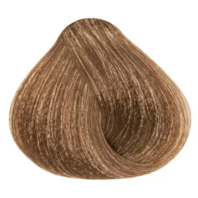 Характеристики товара Натуральная пудра для окрашивания FARMAGAN BIOACTIVE NB COLOR # 32 блонд орех, 500 г