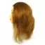 Фотографии Учебная голова - манекен SIBEL Hairdressing Training Head FINE IMPLANT 40 см - 2